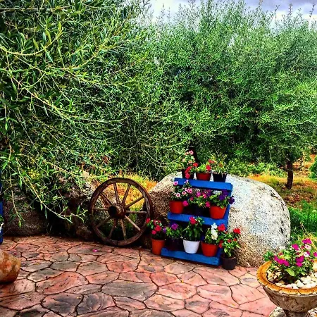 Privatunterkunft In Famiglia Casa Centro Sardegna *